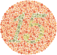 Color Blindness